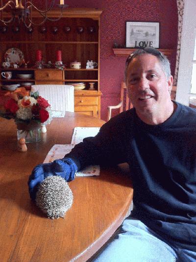 daniel_carlson_514_renpx