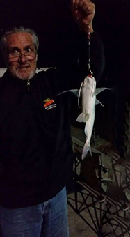 howard_nicholas_578_bup8i