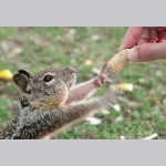 jamie_grant_658_wltzs