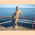 scammer-greenday_785_pm1nx