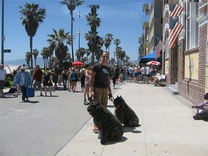 roland_kone_601_m4ia3